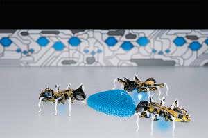 3D-printed bionic ants team up to get the job done
