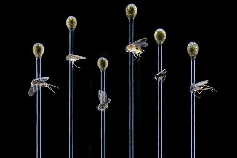 New Scientist. Science news and long reads from expert journalists, covering developments in science, technology, health and the environment on the website and the magazine.