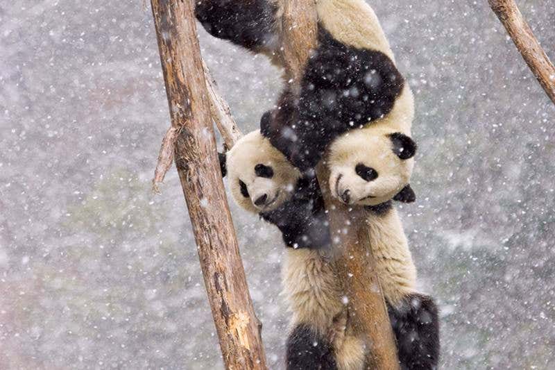 New Scientist. Science news and long reads from expert journalists, covering developments in science, technology, health and the environment on the website and the magazine.