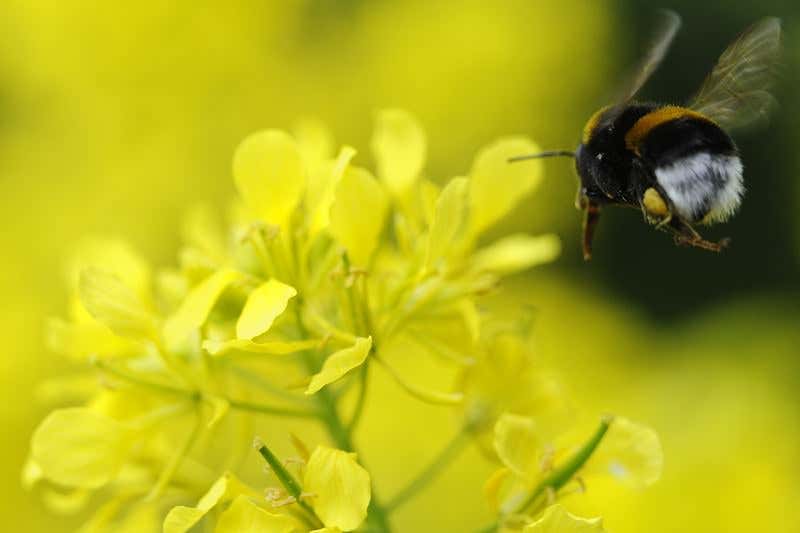 New Scientist. Science news and long reads from expert journalists, covering developments in science, technology, health and the environment on the website and the magazine.