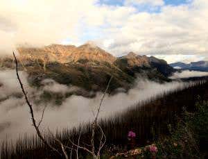 Evolution's big bang: How life on Earth took off