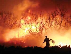 Europe blazes trail against climate change