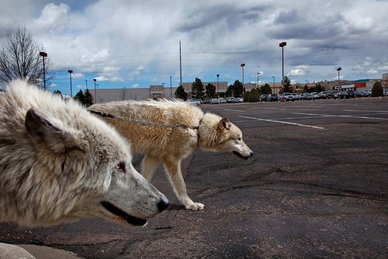 New Scientist. Science news and long reads from expert journalists, covering developments in science, technology, health and the environment on the website and the magazine.