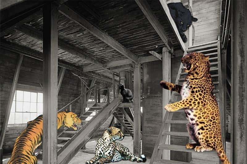 New Scientist. Science news and long reads from expert journalists, covering developments in science, technology, health and the environment on the website and the magazine.