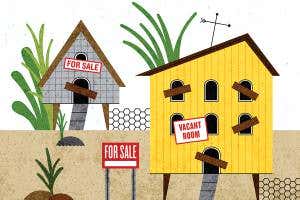 Clucking hell: The nightmare world without chickens