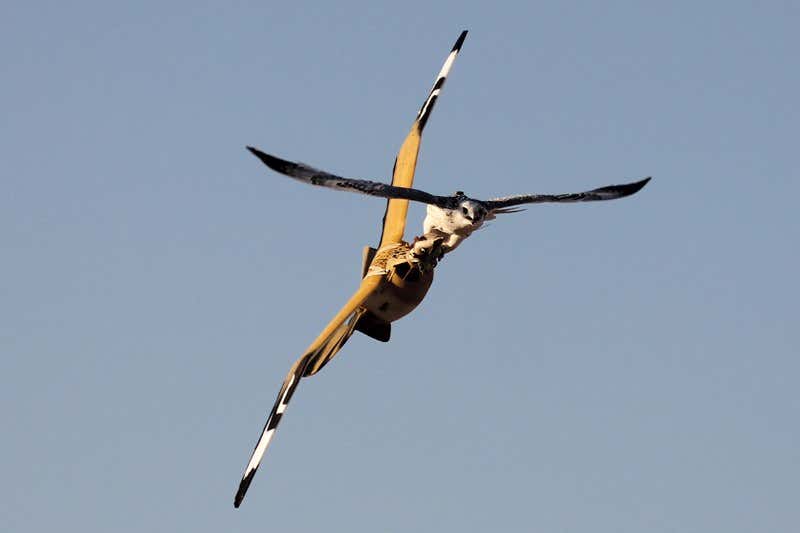 New Scientist. Science news and long reads from expert journalists, covering developments in science, technology, health and the environment on the website and the magazine.