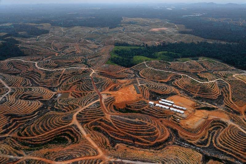 New Scientist. Science news and long reads from expert journalists, covering developments in science, technology, health and the environment on the website and the magazine.