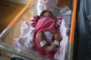 IVF nutrients may dictate if the baby's a boy or girl