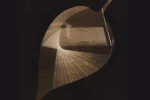 Reverse silhouettes capture the beauty of nature