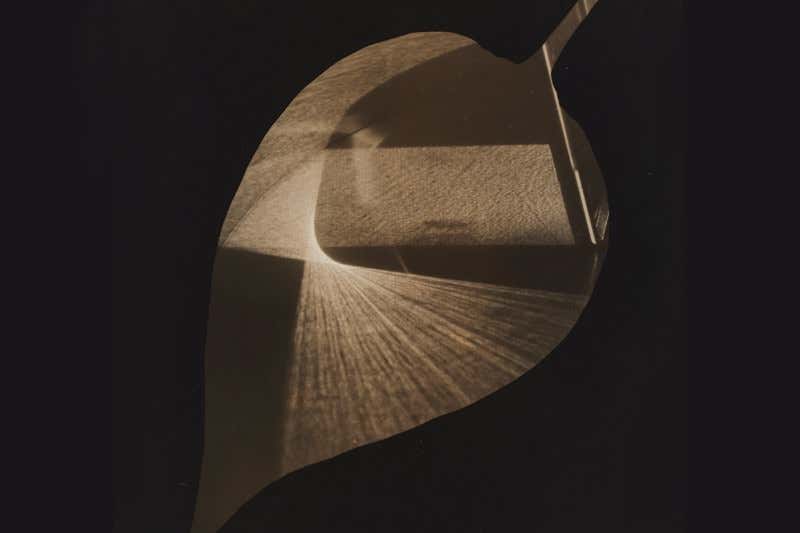 New Scientist. Science news and long reads from expert journalists, covering developments in science, technology, health and the environment on the website and the magazine.