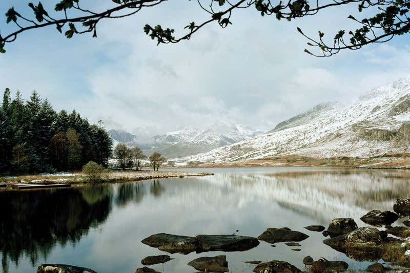 New Scientist. Science news and long reads from expert journalists, covering developments in science, technology, health and the environment on the website and the magazine.