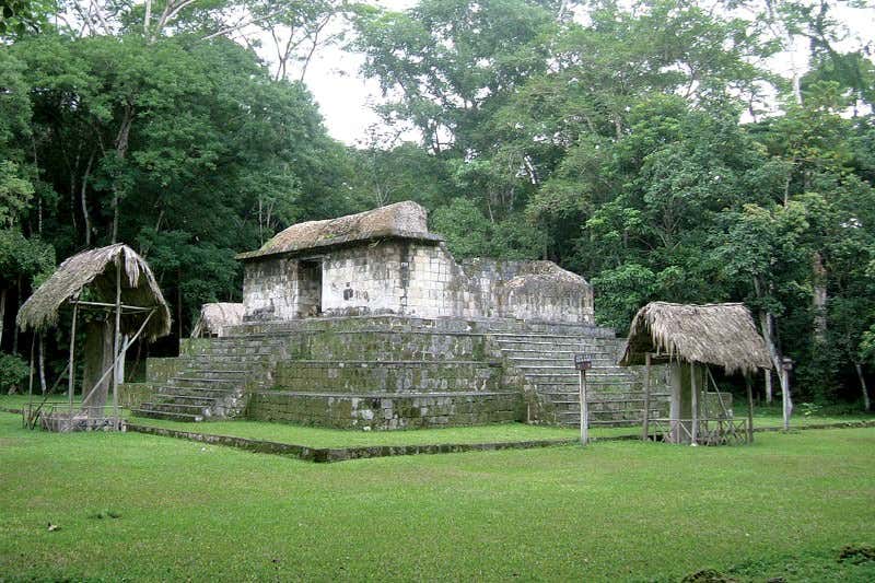 New Scientist. Science news and long reads from expert journalists, covering developments in science, technology, health and the environment on the website and the magazine.