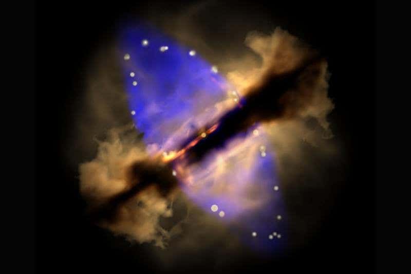 New Scientist. Science news and long reads from expert journalists, covering developments in science, technology, health and the environment on the website and the magazine.