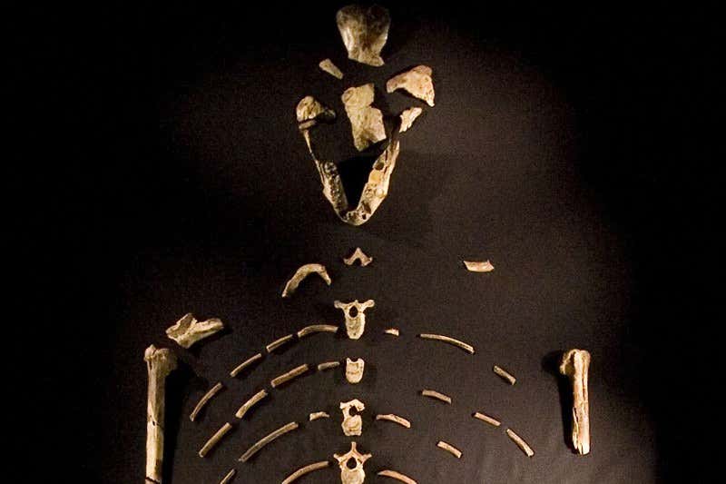 New Scientist. Science news and long reads from expert journalists, covering developments in science, technology, health and the environment on the website and the magazine.