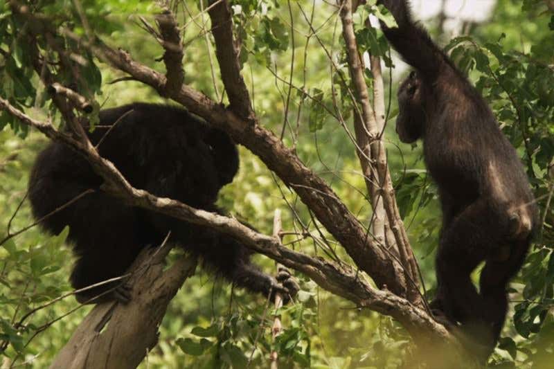 New Scientist. Science news and long reads from expert journalists, covering developments in science, technology, health and the environment on the website and the magazine.
