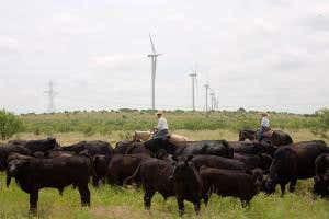 Wind energy blows US emissions onto right track for 2025 target