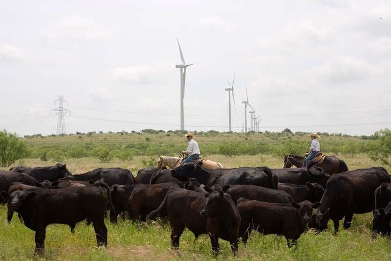 New Scientist. Science news and long reads from expert journalists, covering developments in science, technology, health and the environment on the website and the magazine.
