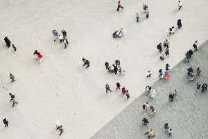 Biocode mixes art and academia to explore pigeonholing