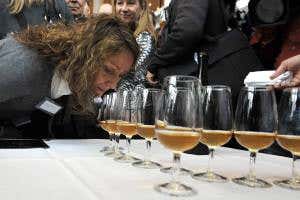 19th-century champagne haul shows seabed is perfect wine cooler