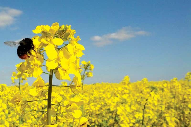 New Scientist. Science news and long reads from expert journalists, covering developments in science, technology, health and the environment on the website and the magazine.