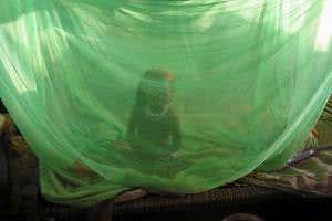 World's first malaria vaccine could be rolled out by end of year