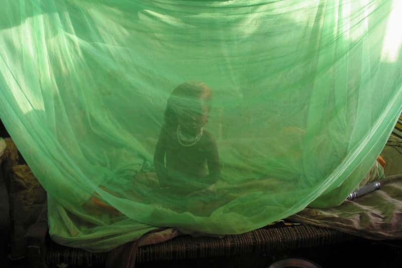 New Scientist. Science news and long reads from expert journalists, covering developments in science, technology, health and the environment on the website and the magazine.