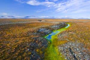 Microbes play villainous role in Arctic climate change