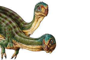 Freakiest dinosaur ever found is a vegetarian relative of <i>T. rex</i>