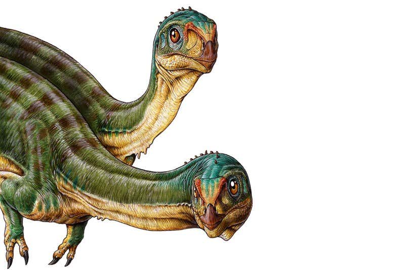 New Scientist. Science news and long reads from expert journalists, covering developments in science, technology, health and the environment on the website and the magazine.