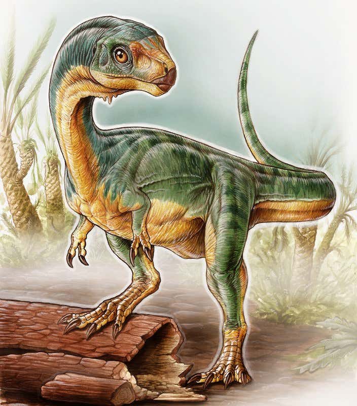Freakiest dinosaur ever found is a vegetarian relative of T. rex