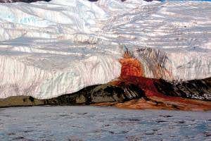 Antarctica's Blood Falls are a sign of life below ground
