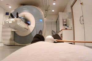 Teleporting trick shows how the brain helps us know our own body