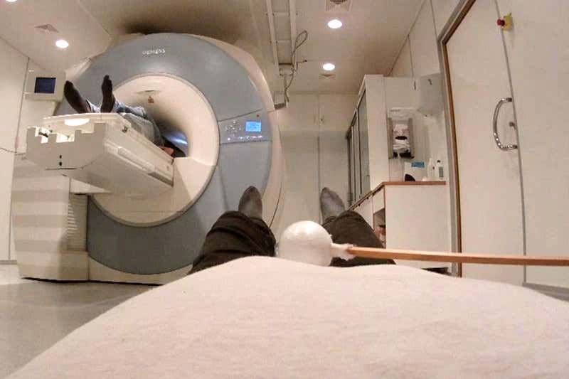 Brain scans revealed the posterior cingular cortex's role