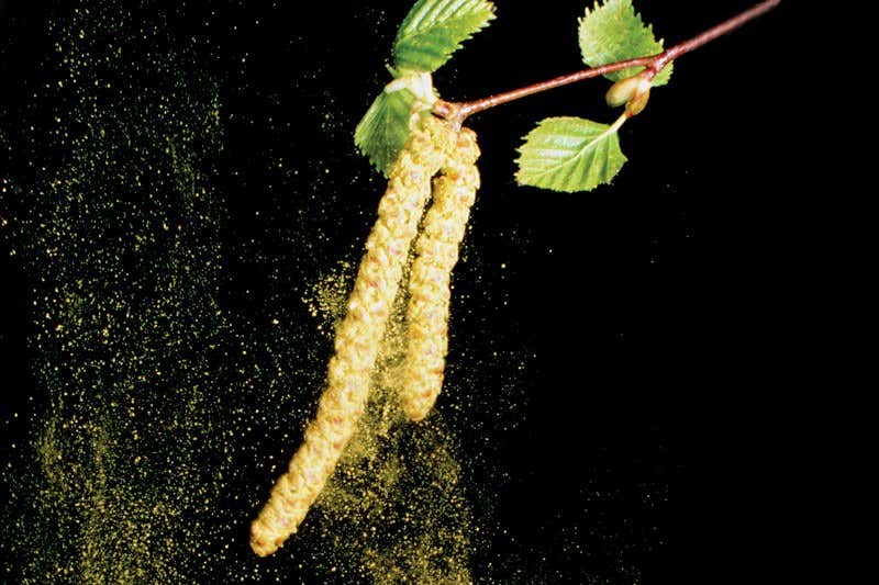 New Scientist. Science news and long reads from expert journalists, covering developments in science, technology, health and the environment on the website and the magazine.