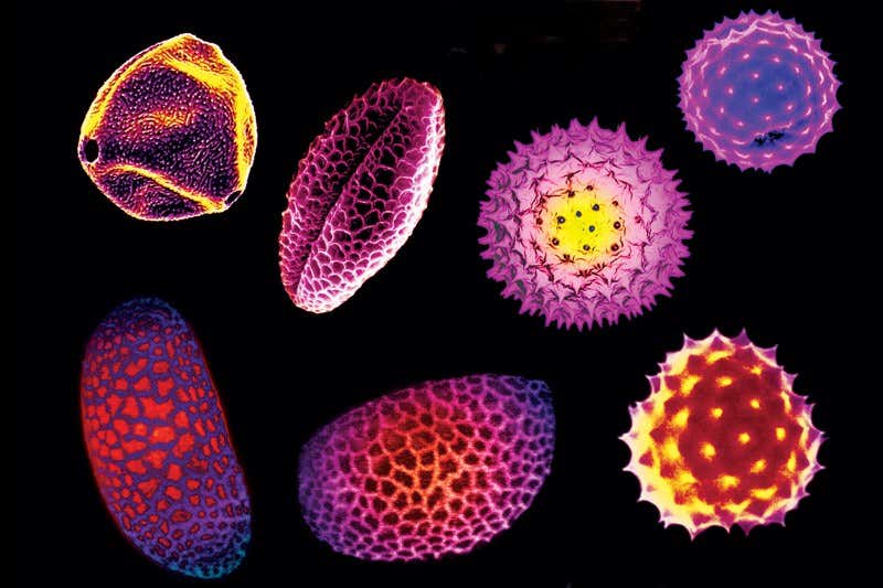 New Scientist. Science news and long reads from expert journalists, covering developments in science, technology, health and the environment on the website and the magazine.