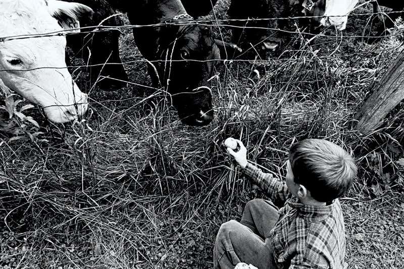 New Scientist. Science news and long reads from expert journalists, covering developments in science, technology, health and the environment on the website and the magazine.
