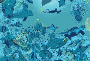 Ocean commotion: Protecting sea life from our noise