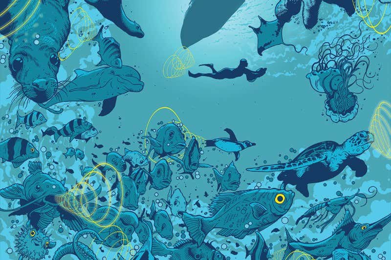 New Scientist. Science news and long reads from expert journalists, covering developments in science, technology, health and the environment on the website and the magazine.