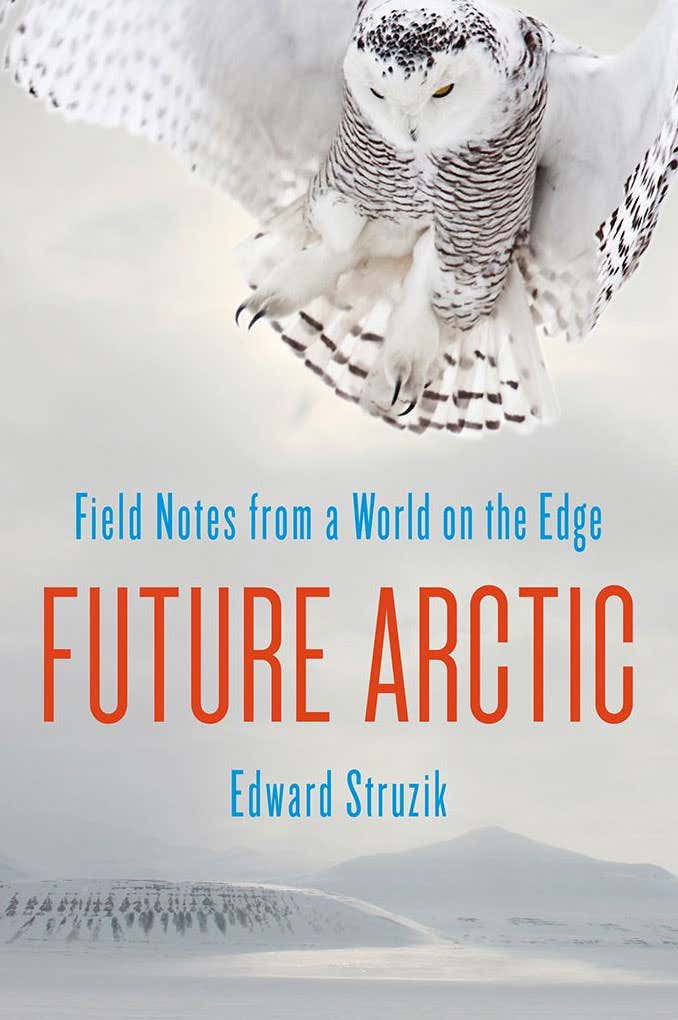 Future Arctic: Why it's time for action, not resignation