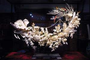 Changing China's tastes could save world's wildlife