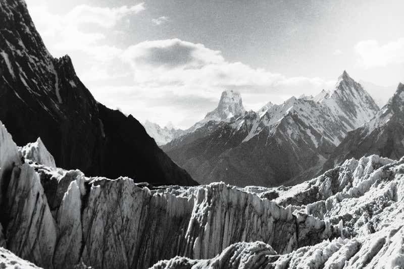 New Scientist. Science news and long reads from expert journalists, covering developments in science, technology, health and the environment on the website and the magazine.