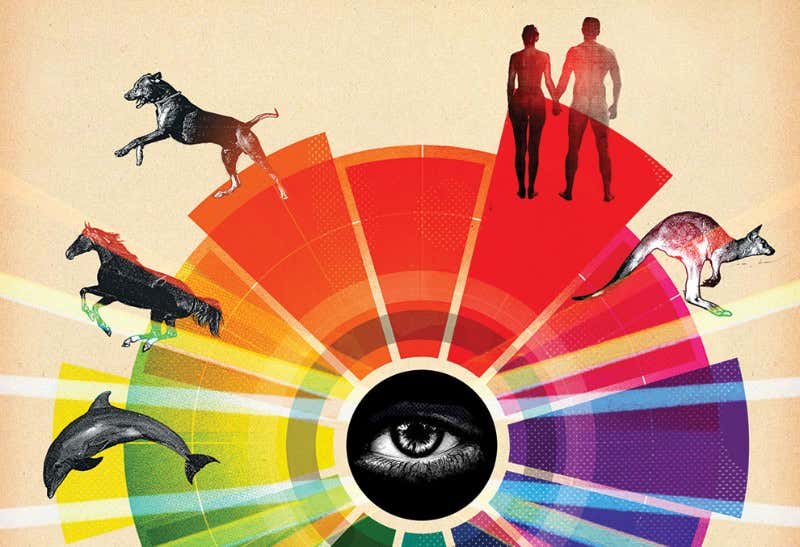 New Scientist. Science news and long reads from expert journalists, covering developments in science, technology, health and the environment on the website and the magazine.