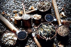 <i>The Triumph of Seeds</i>: Our huge debt to tiny marvels