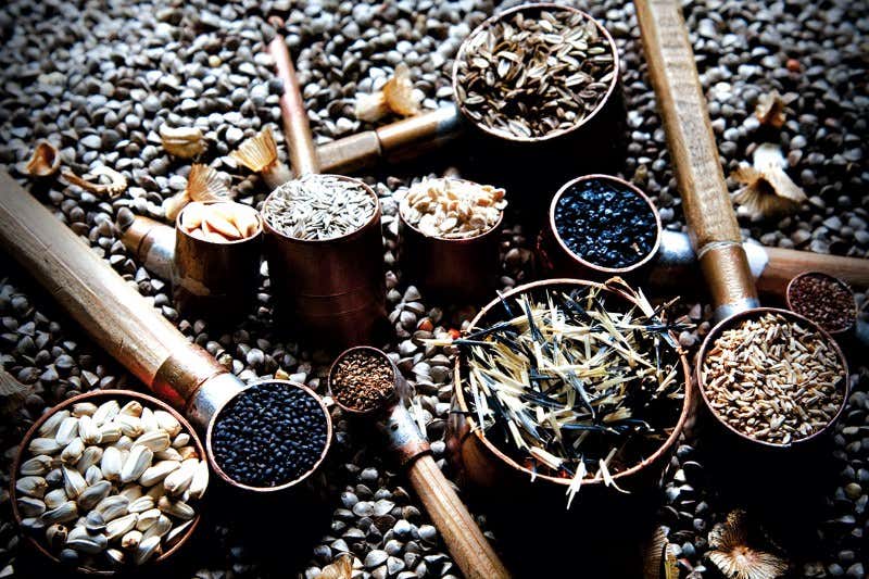 New Scientist. Science news and long reads from expert journalists, covering developments in science, technology, health and the environment on the website and the magazine.