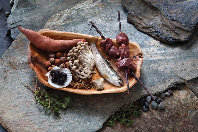 New Scientist. Science news and long reads from expert journalists, covering developments in science, technology, health and the environment on the website and the magazine.