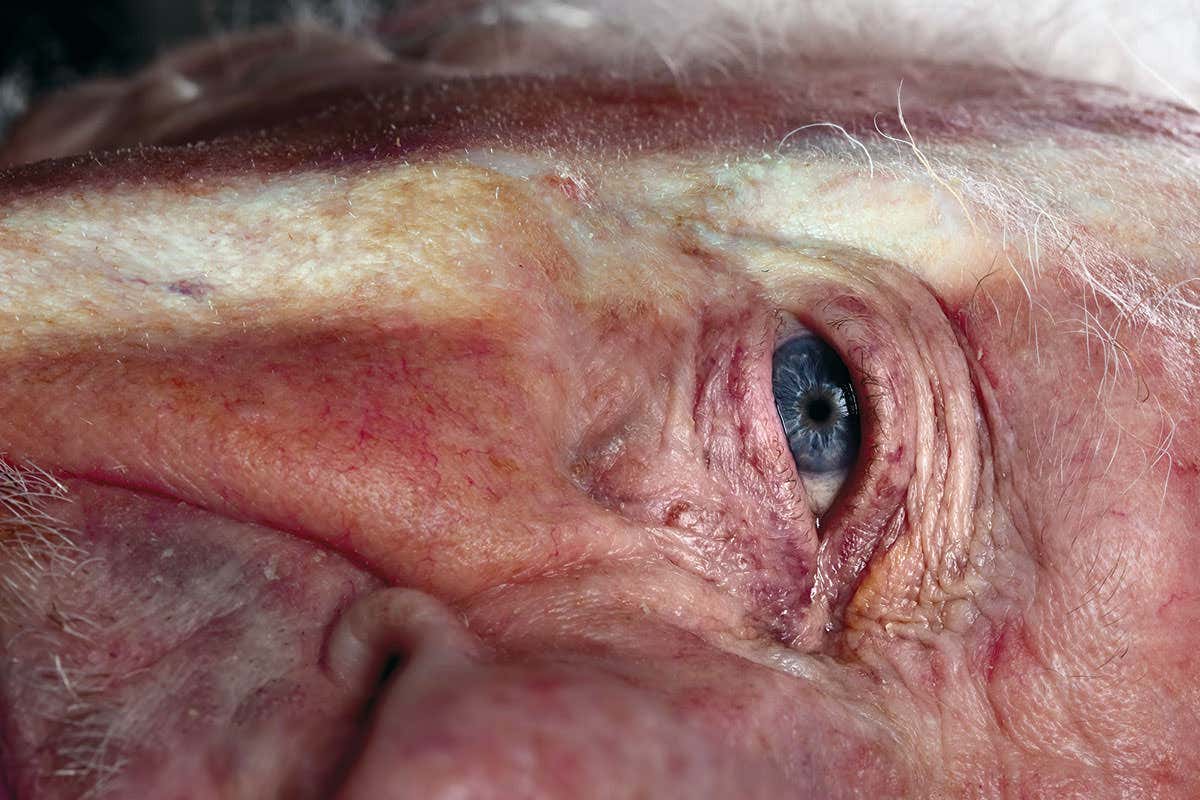 New Scientist. Science news and long reads from expert journalists, covering developments in science, technology, health and the environment on the website and the magazine.