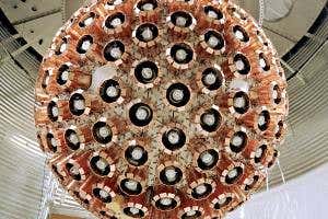 Biggest dark matter detector lies in wait for antisocial WIMPs