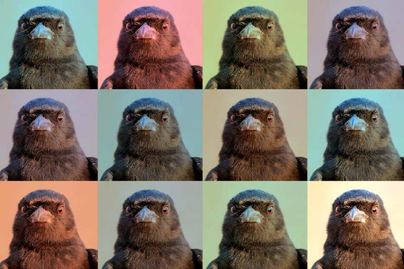 New Scientist. Science news and long reads from expert journalists, covering developments in science, technology, health and the environment on the website and the magazine.