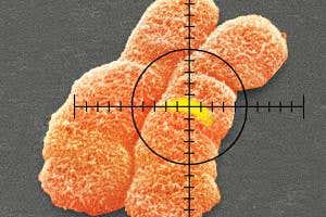 Human gene editing has arrived – here's why it matters