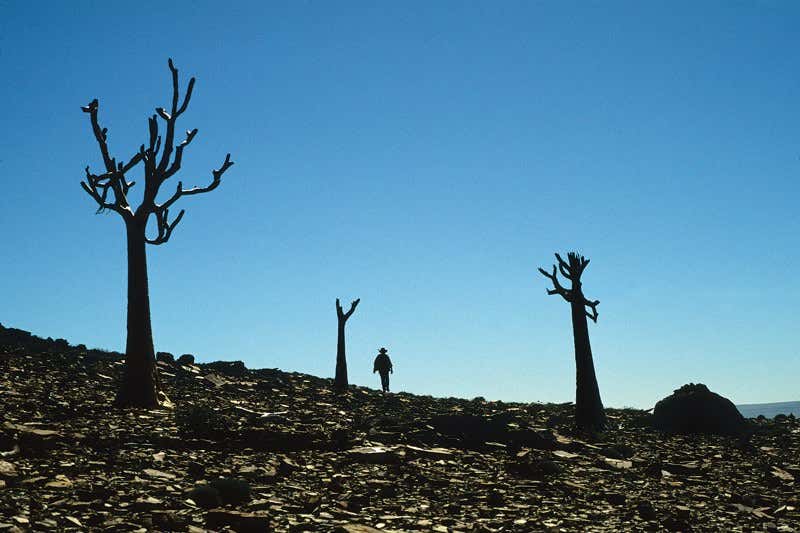 New Scientist. Science news and long reads from expert journalists, covering developments in science, technology, health and the environment on the website and the magazine.